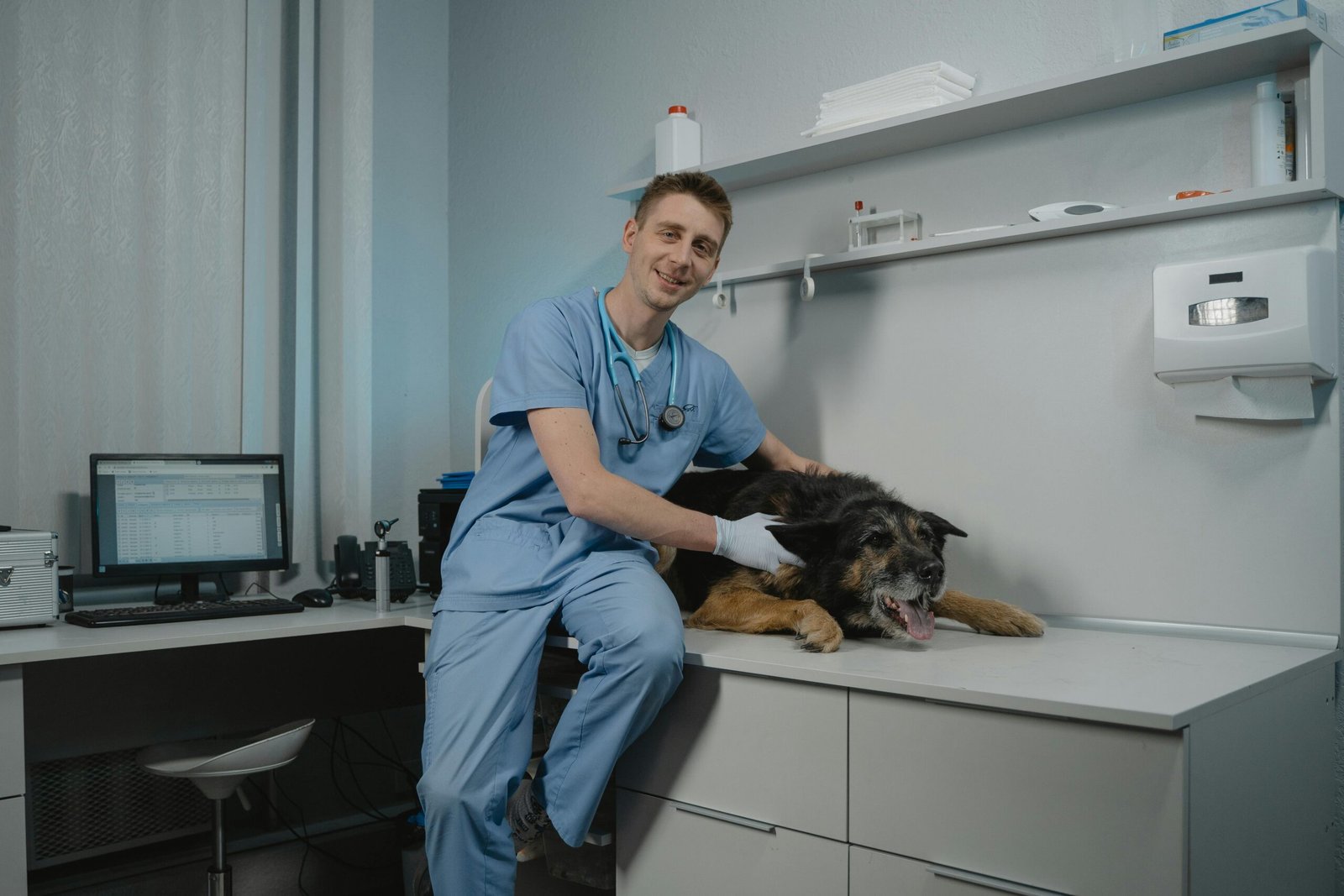Veterinarian examining a black dog in a modern clinic setting. Professional care in a veterinary office.