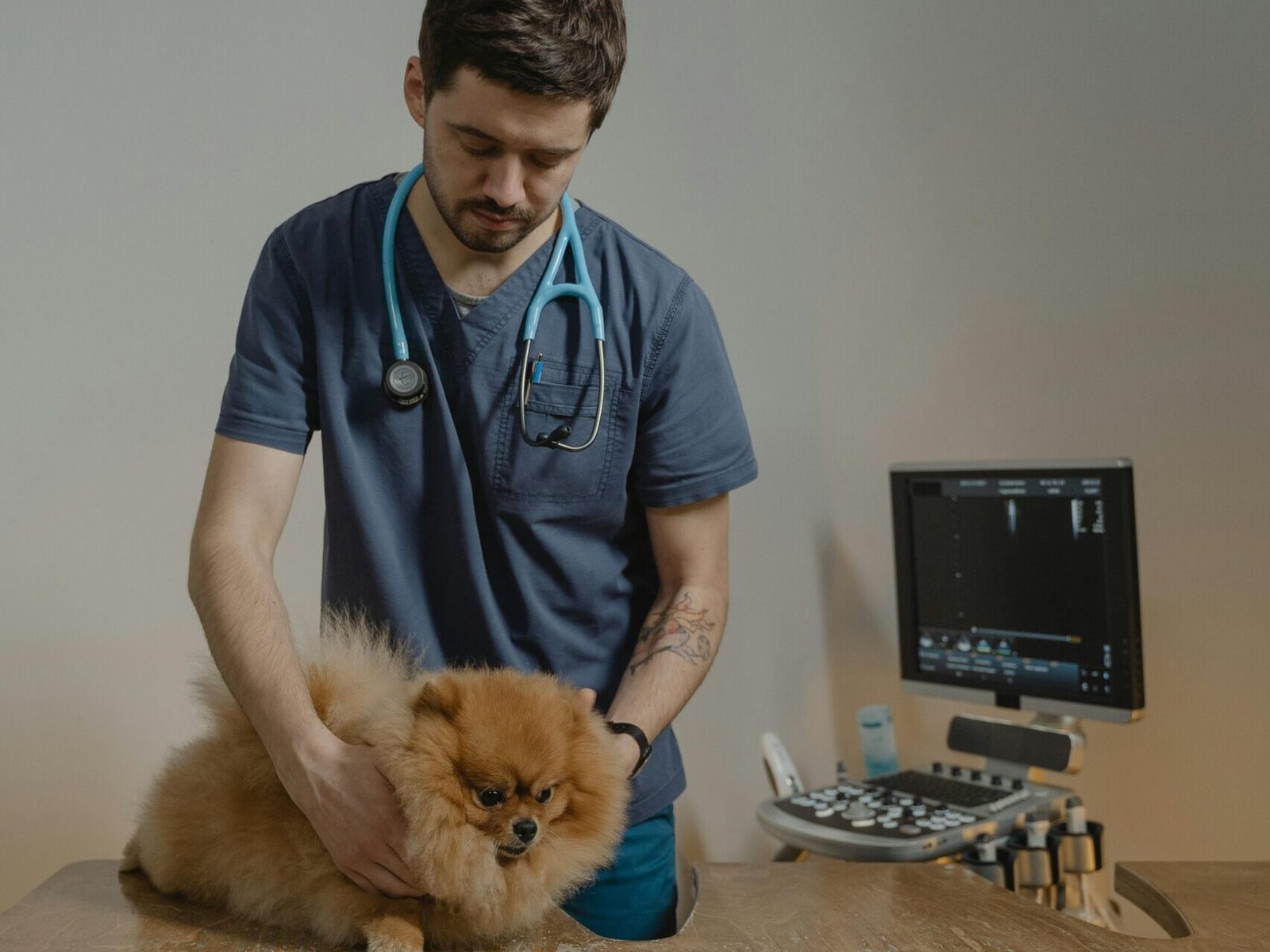 A veterinarian examines a Pomeranian dog using medical equipment in a clinic.